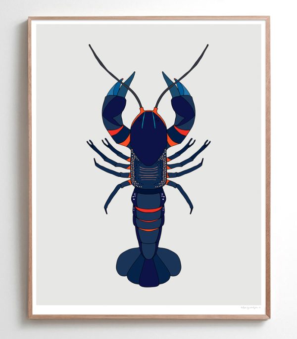 Alpine Spiny Crayfish - Image 2