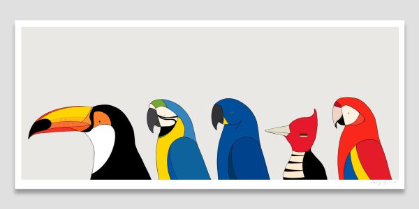Birds of Brazil