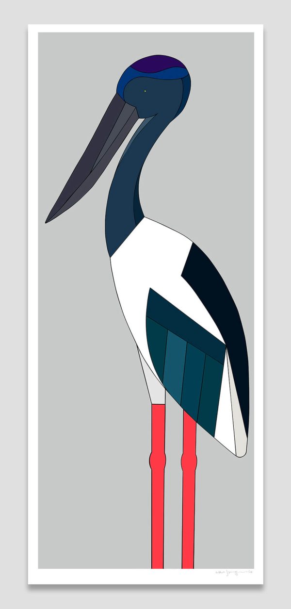 Black-necked Stork
