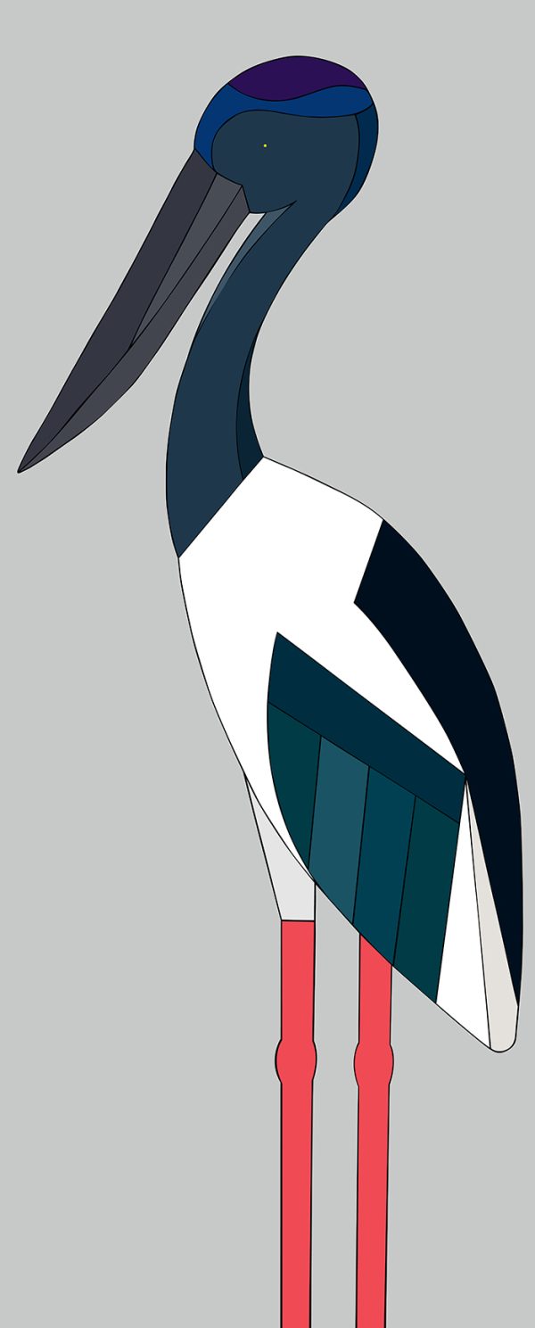 Black-necked Stork