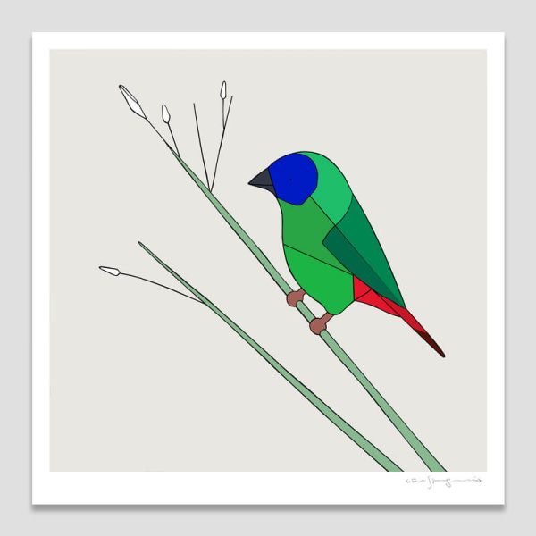 Blue-faced Parrotfinch