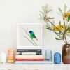 Blue-faced Parrotfinch - Image 2