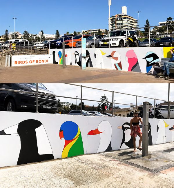 Birds of Bondi - Image 4