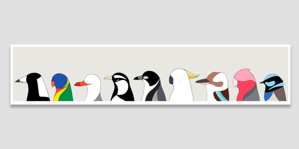 Birds of Bondi