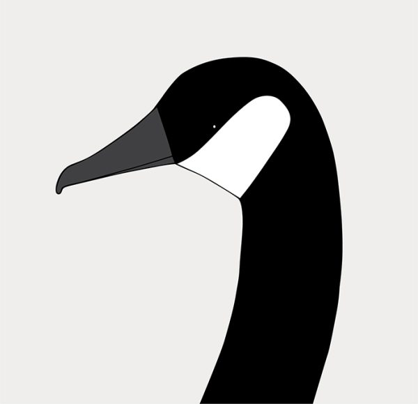 Canada Goose