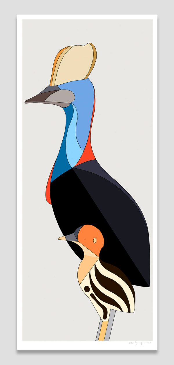 Southern Cassowary and Chick