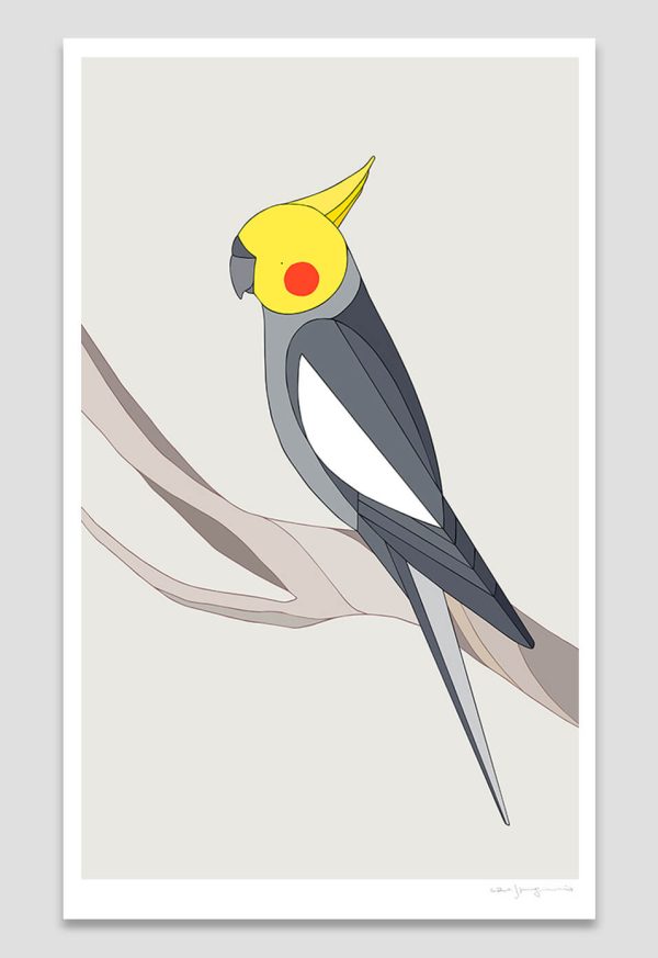 Cockatiel
