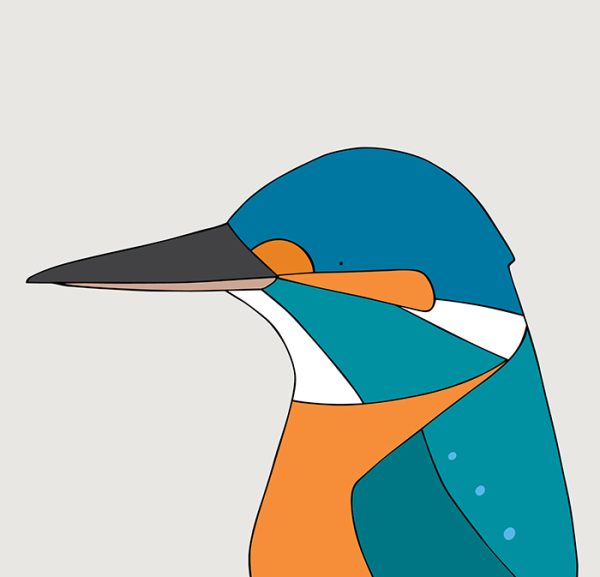 Common Kingfisher