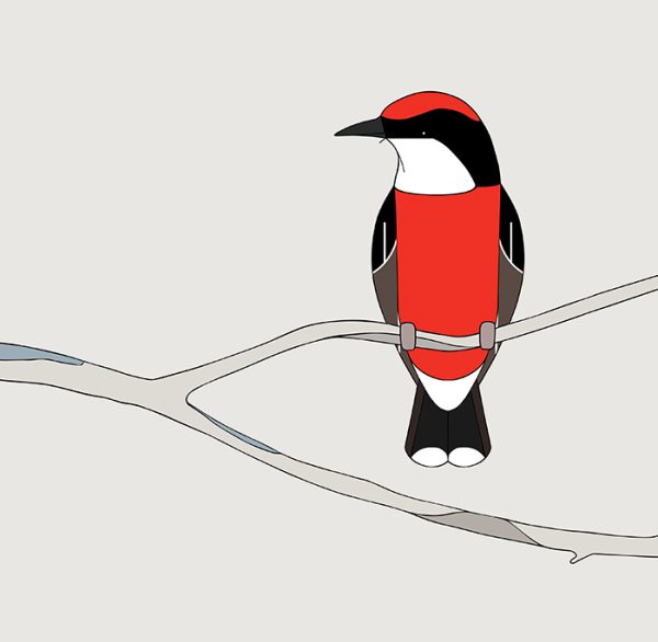 Crimson Chat