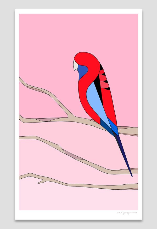 Crimson Skies (Crimson Rosella)