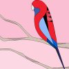 Crimson Skies (Crimson Rosella)