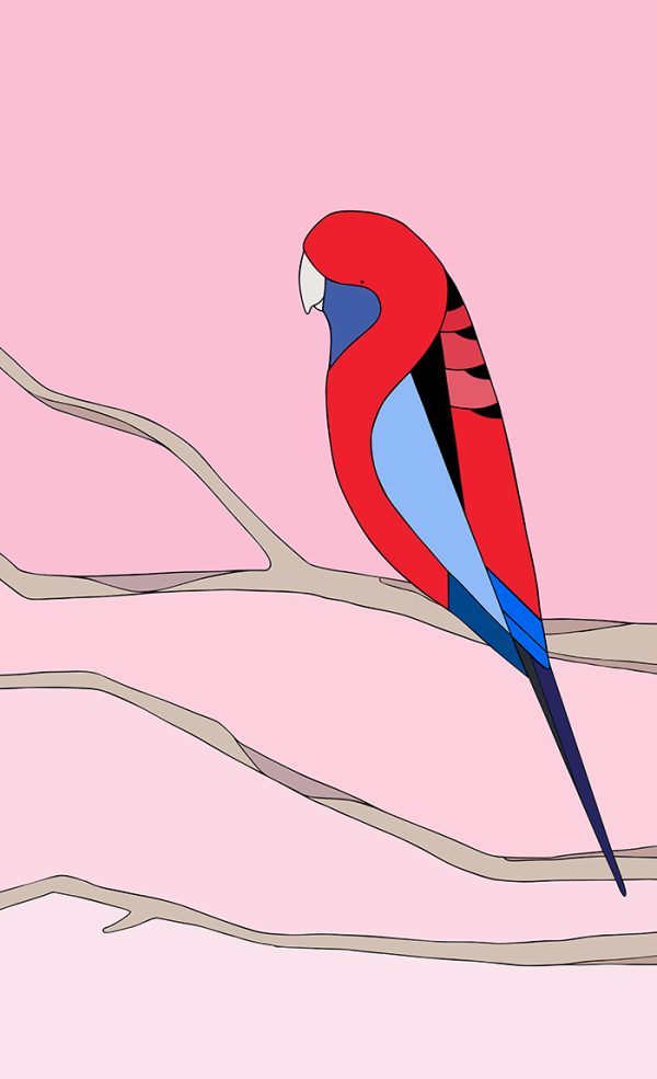 Crimson Skies (Crimson Rosella)