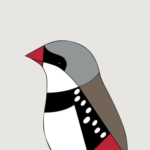 Diamond Firetail