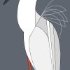 Great Egret (Breeding)