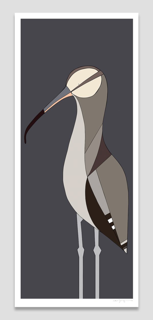 Eastern Curlew