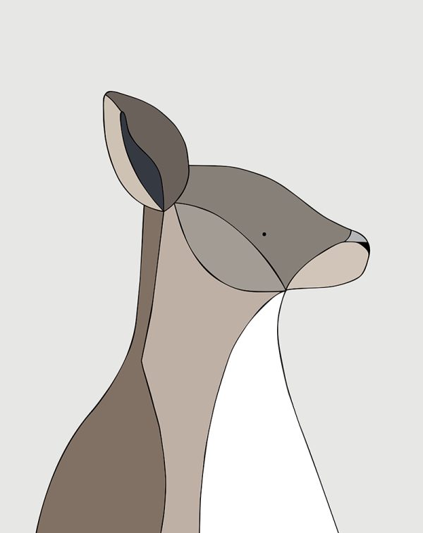 Eastern Grey Kangaroo