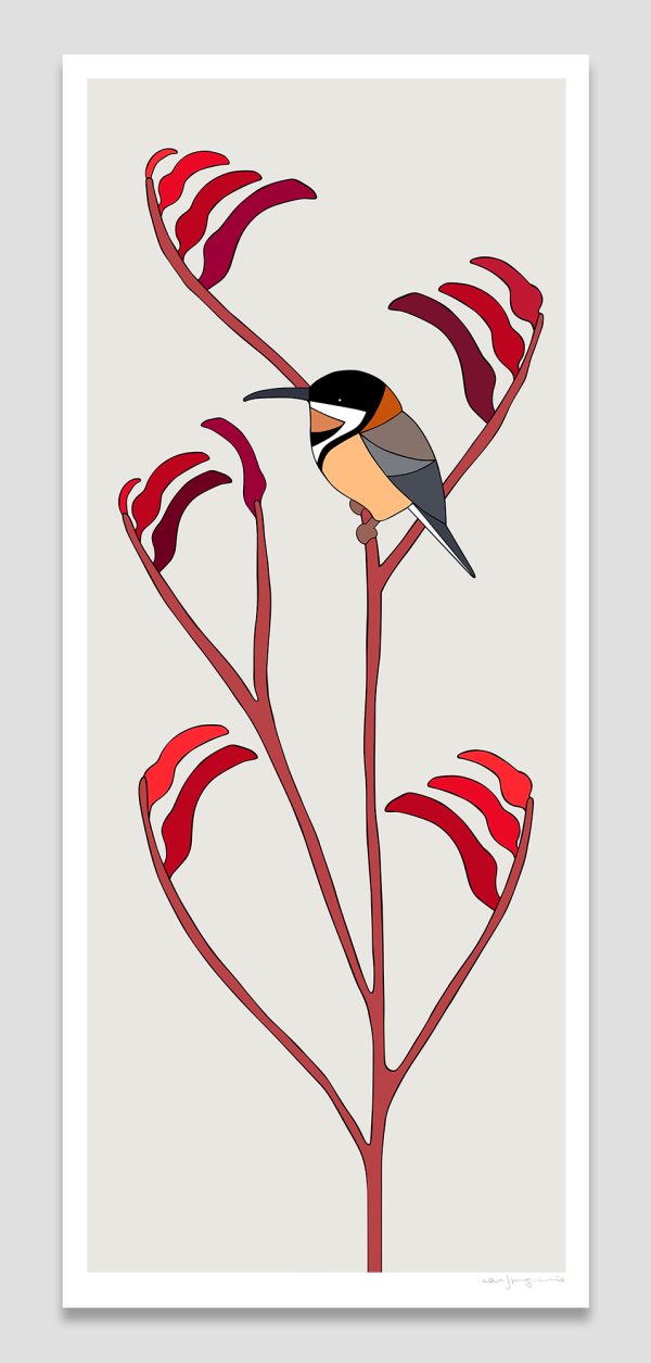 Eastern Spinebill & Kangaroo Paw