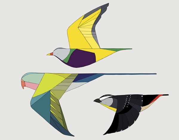 Birds of Australia Trio