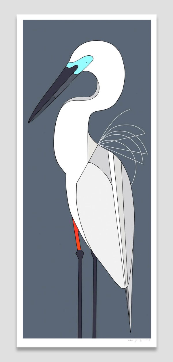 Great Egret (Breeding)