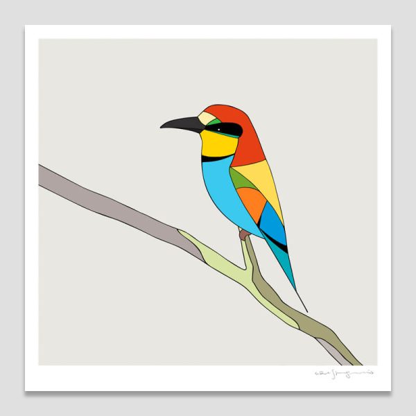 European bee-eater