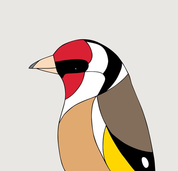 European Goldfinch