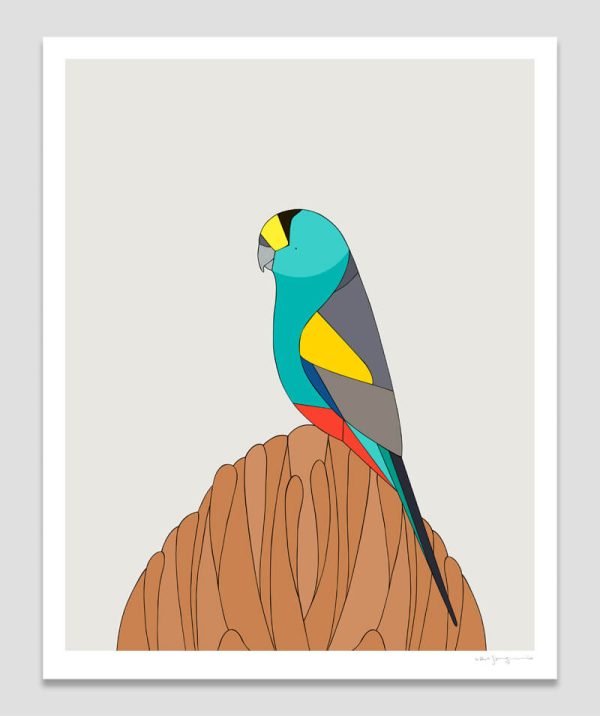 Golden-shouldered Parrot