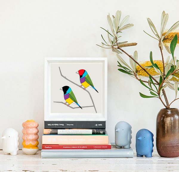 Gouldian Finches - Image 2