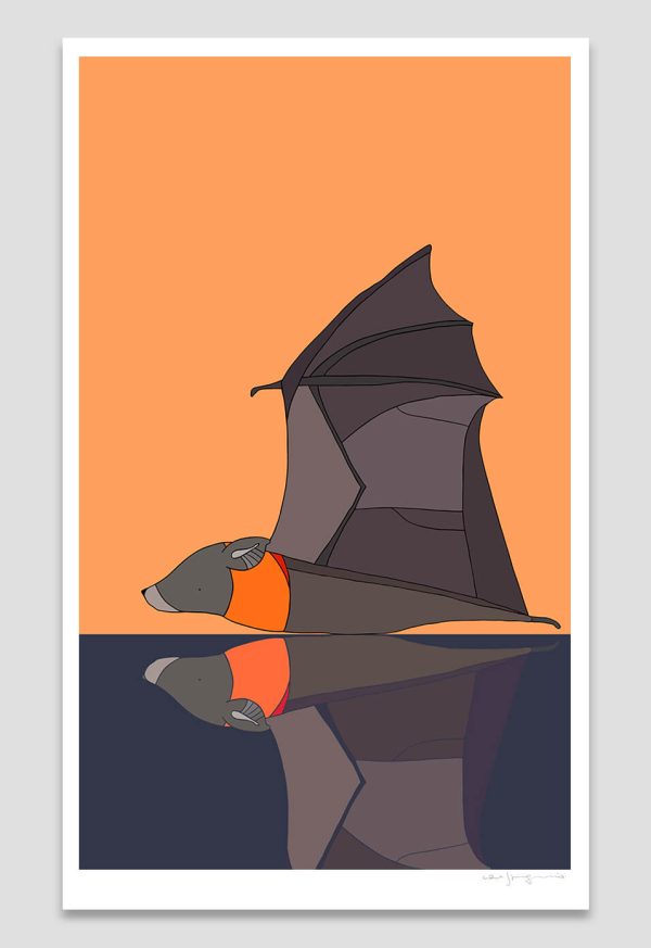 The Golden Hour (Grey-Headed Flying Fox)
