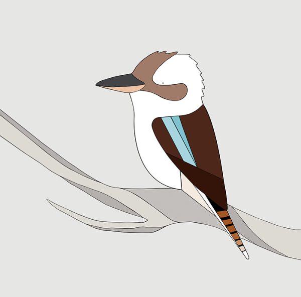Laughing Kookaburra