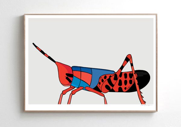 Leichhardt's Grasshopper - Image 2
