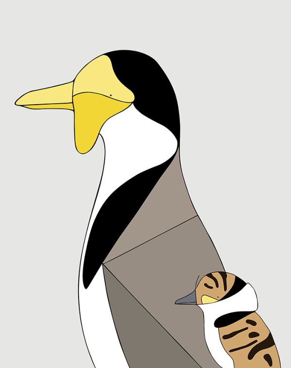 Masked Lapwing & Chick