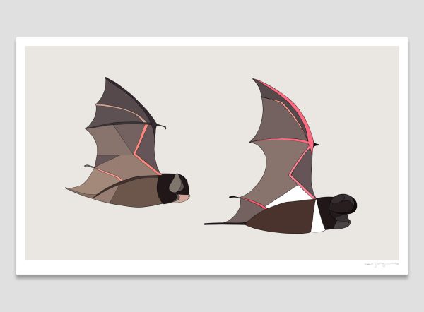Microbats