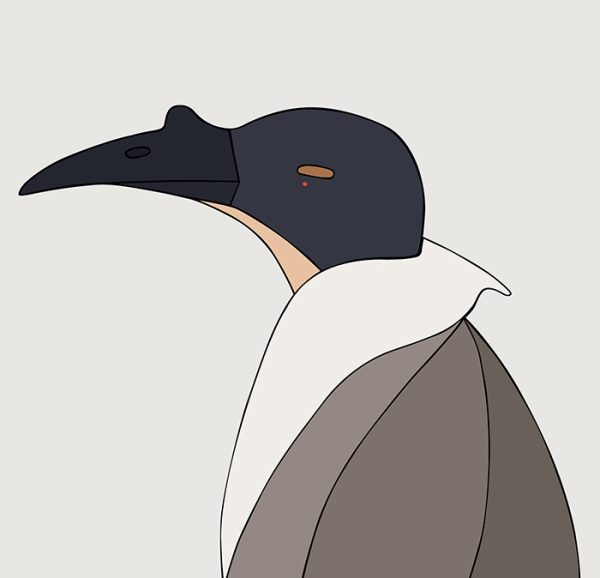 Noisy Friarbird