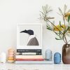 Noisy Friarbird - Image 2