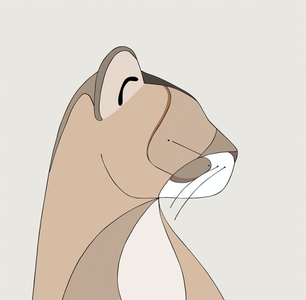 Puma - Image 3
