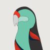 Paradise Parrot