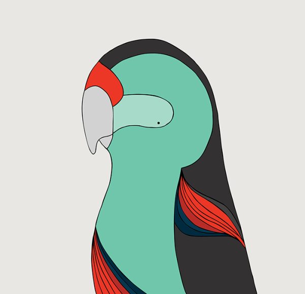 Paradise Parrot