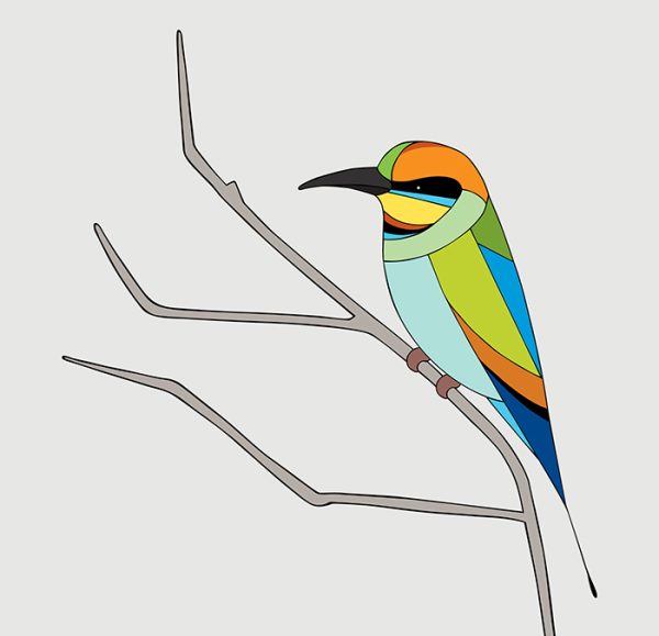 Rainbow Bee-eater