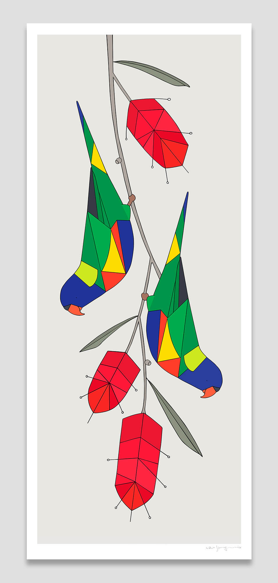 Rainbow Lorikeets & Bottlebrush