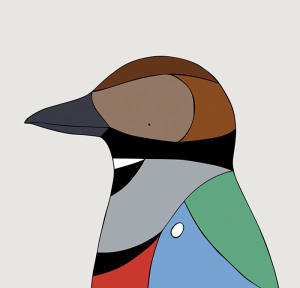 Red-bellied Pitta