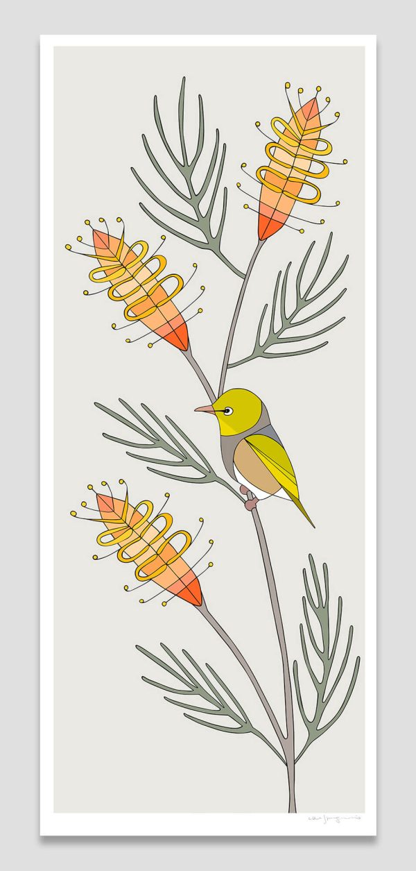 Silvereye & Grevillea