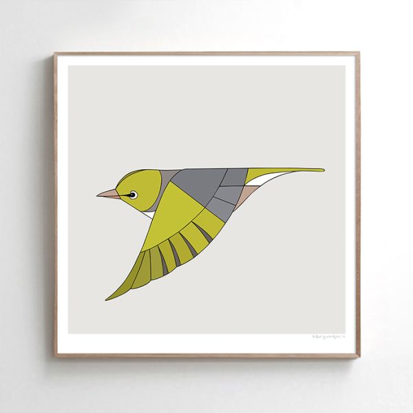 Silvereye In Flight - Image 2