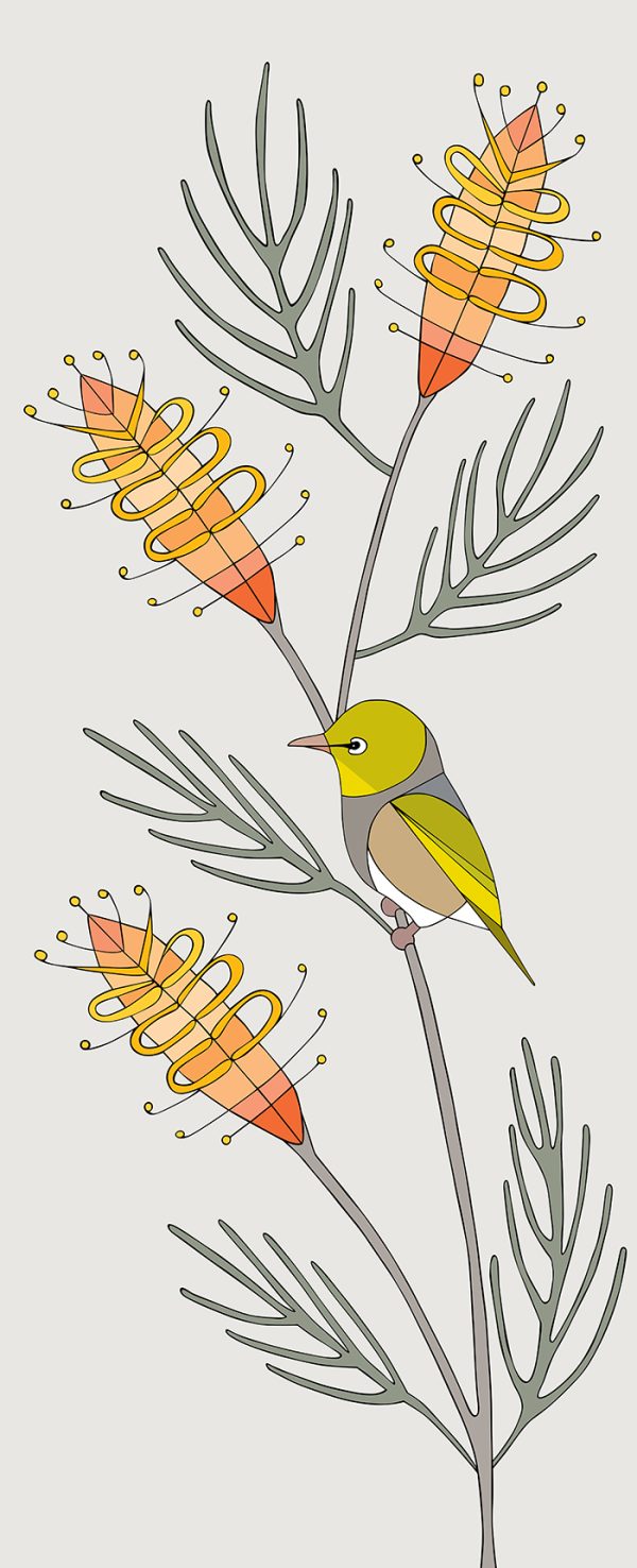 Silvereye & Grevillea