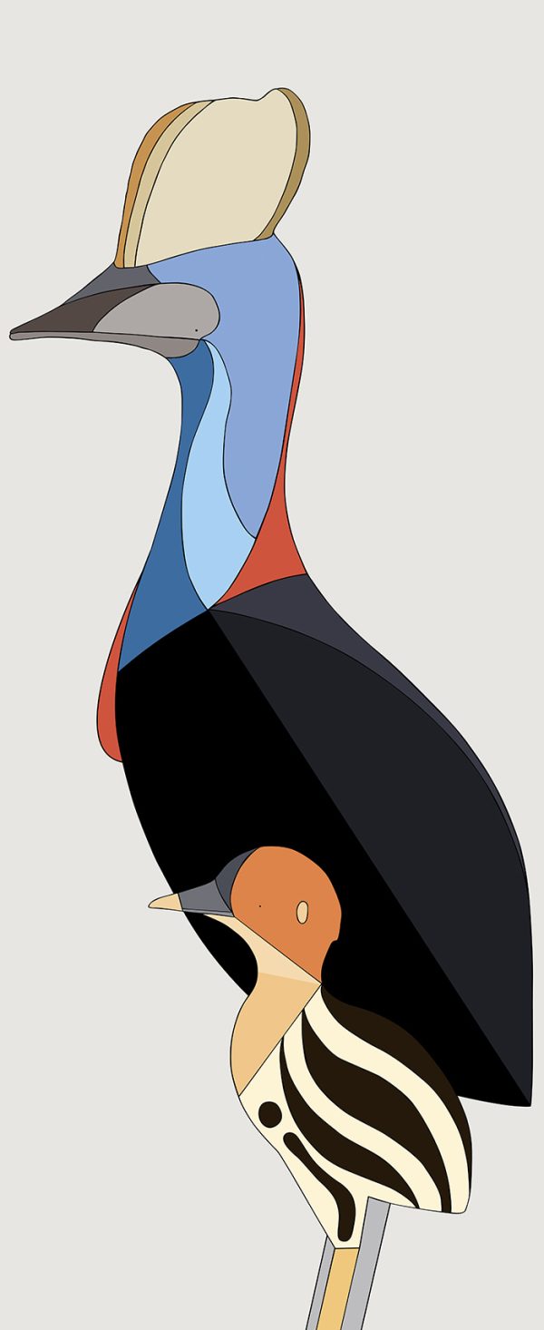Southern Cassowary and Chick