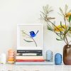 Splendid Fairy-wren & Wattle - Image 2