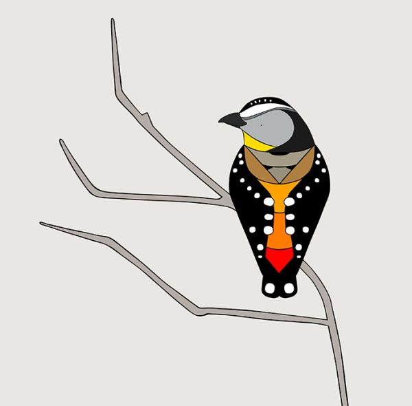 Spotted Pardalote
