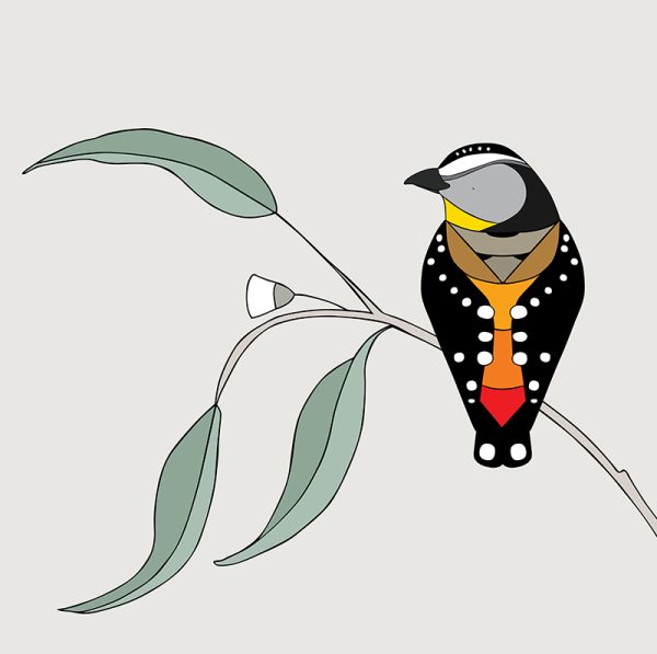 Spotted Pardalote and Eucalyptus