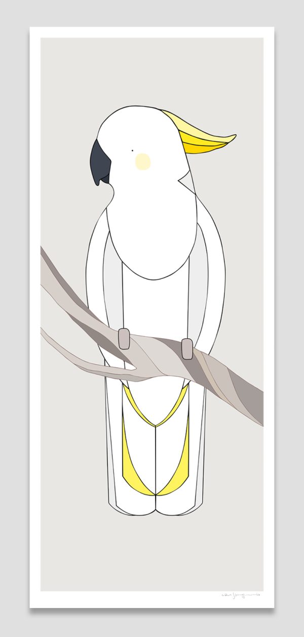 Sulphur-crested Cockatoo