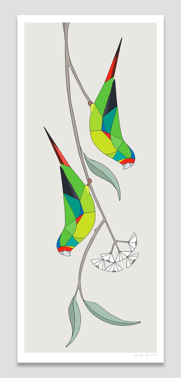 Swift Parrots
