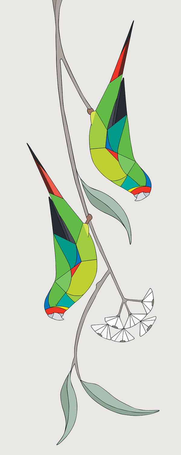 Swift Parrots